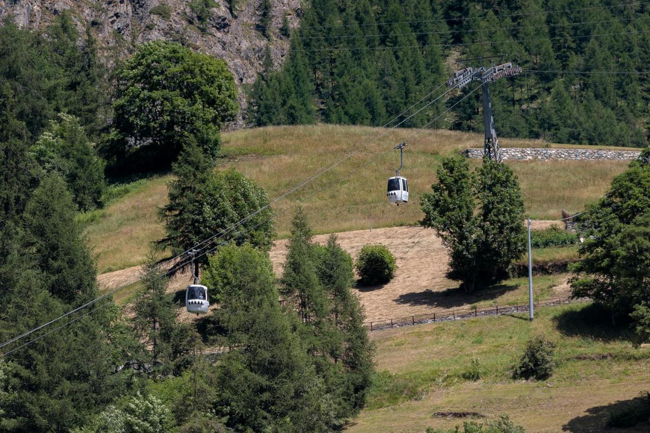 Hellochalet - Chalet Northern Lights - Family Ski Chalet With Garden Walking Distance Lift Valtournenche Exteriör bild